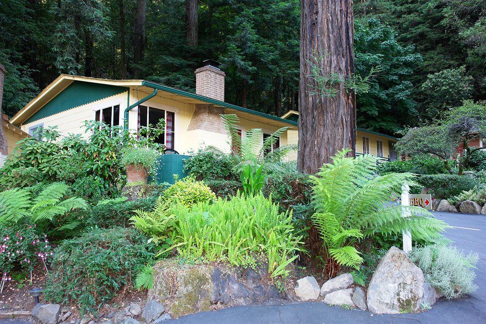 Fern Grove Cottages Guerneville Exteriér fotografie