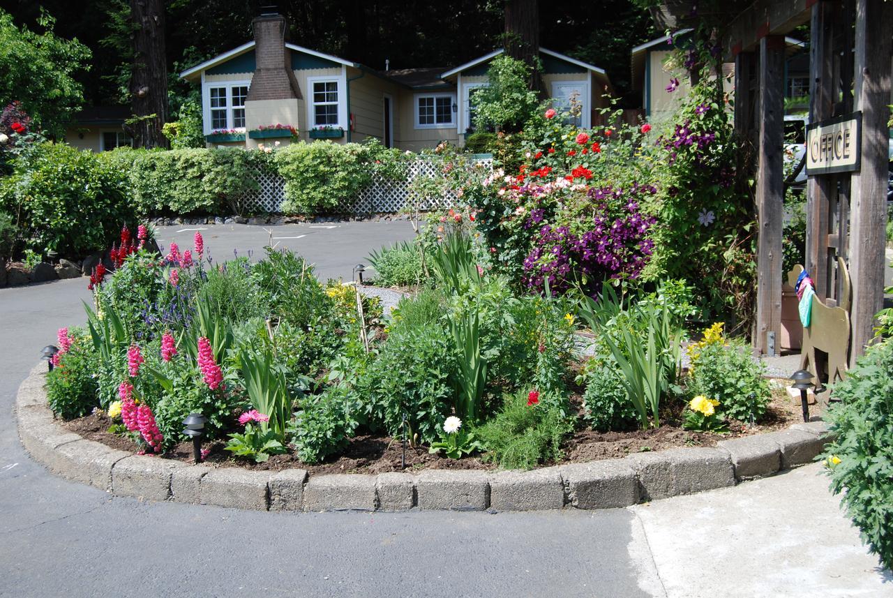 Fern Grove Cottages Guerneville Exteriér fotografie