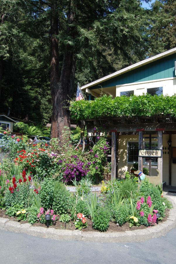 Fern Grove Cottages Guerneville Exteriér fotografie